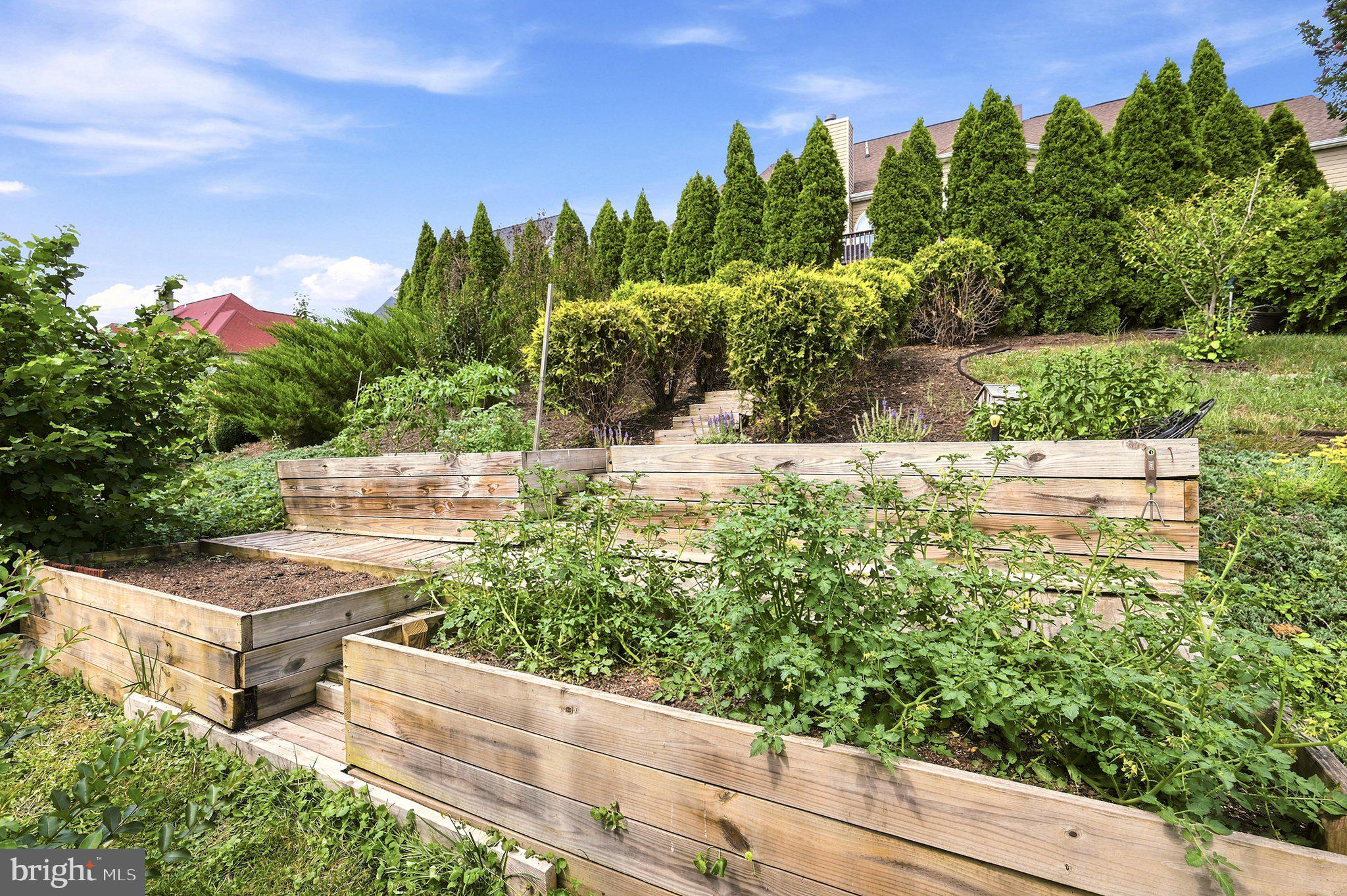 297 Huntersridge Road Winchester, VA 22602 - Photo 74 of 105 Garden