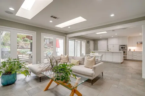 a living room with furniture and a potted plant