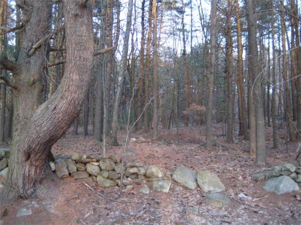 Lot 2 Whitney Road Harvard, MA 01451 - Photo 3 of 3