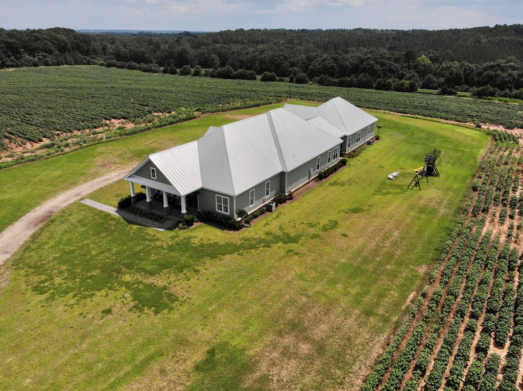 1814 Tom Fain Road Geneva, AL 36340 - Photo 40 of 43