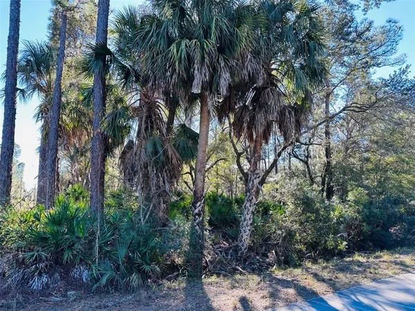 $100,000 | 0 Southwest 60th Street, Cedar Key, FL 32625