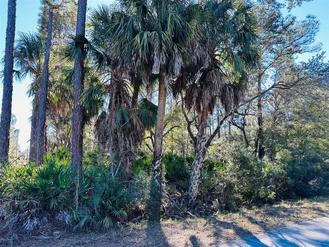 a view of a yard with plants and trees