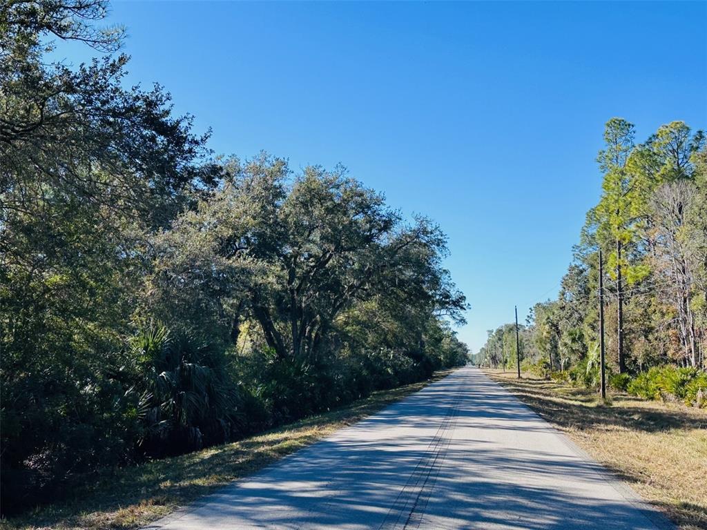 0 Southwest 60th Street Cedar Key, FL 32625 - Photo 2 of 11 a view of a yard and basketball court