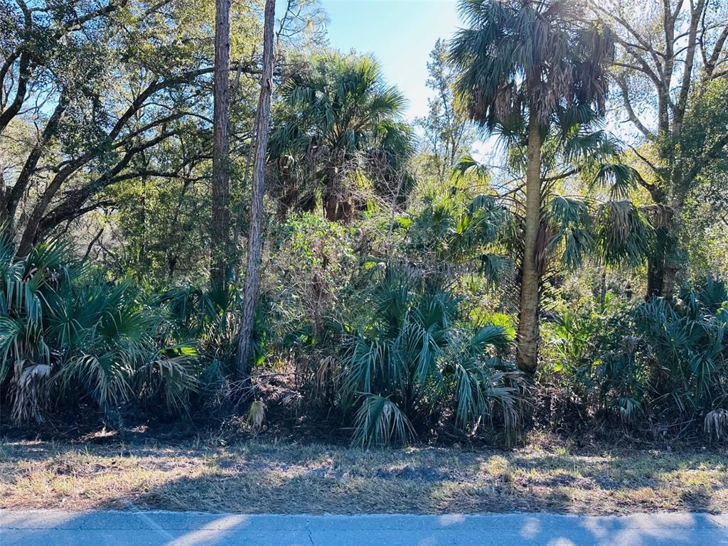 0 Southwest 60th Street Cedar Key, FL 32625 - Photo 5 of 11 a view of a backyard