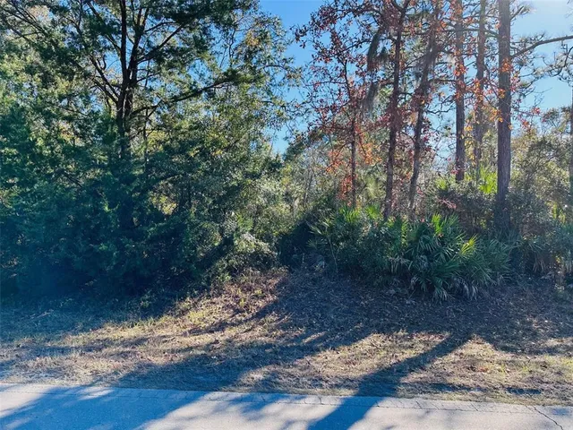 a view of a yard with a tree