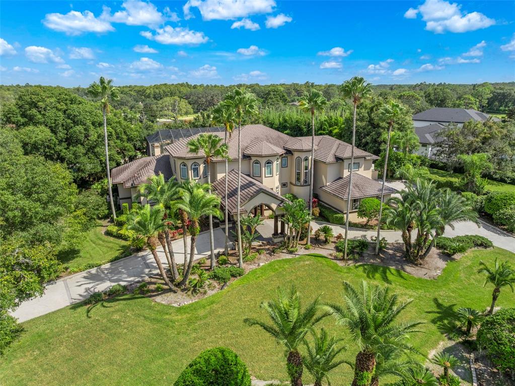 211 Rue Des Chateaux Tarpon Springs, FL 34688 - Photo 3 of 100