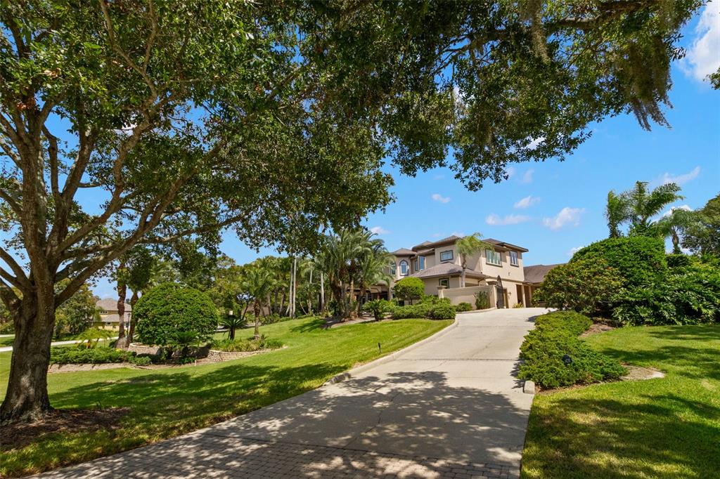 211 Rue Des Chateaux Tarpon Springs, FL 34688 - Photo 5 of 100