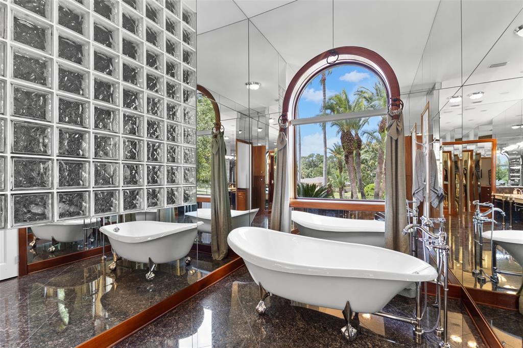 211 Rue Des Chateaux Tarpon Springs, FL 34688 - Photo 76 of 100