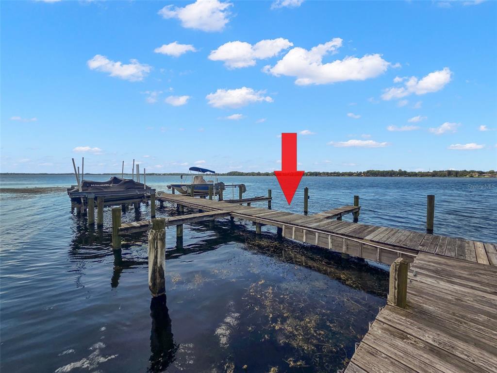 211 Rue Des Chateaux Tarpon Springs, FL 34688 - Photo 95 of 100