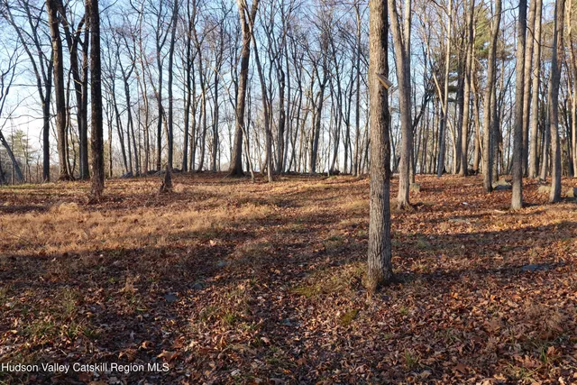 a view of a backyard of the house