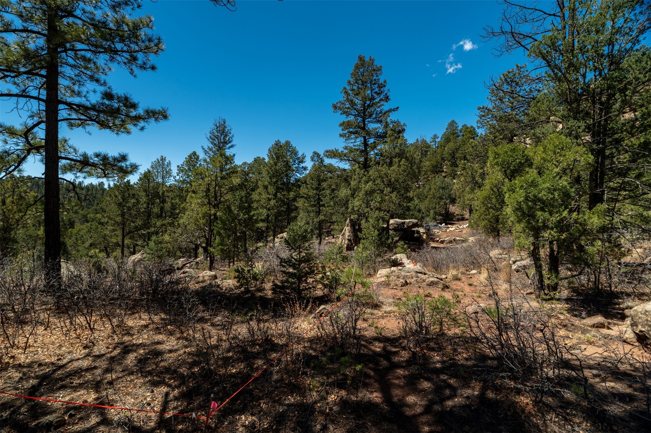 30 Monte La Cueva Road Glorieta, NM 87535 - Photo 12 of 91 Upper portion