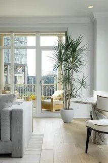a living room with furniture and a potted plant