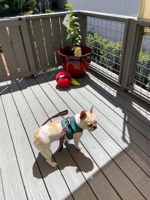80 Zaca Street, Unit SPC 15 Buellton, CA 93427 - Photo 12 of 17 a view of balcony with furniture