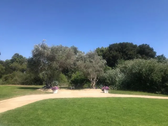a backyard of a house with lots of green space