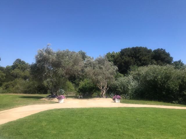 80 Zaca Street, Unit SPC 15 Buellton, CA 93427 - Photo 14 of 17 a backyard of a house with lots of green space