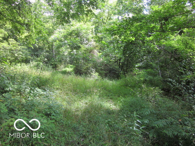 1000 Blue Bluff Road Martinsville, IN 46151 - Photo 3 of 8