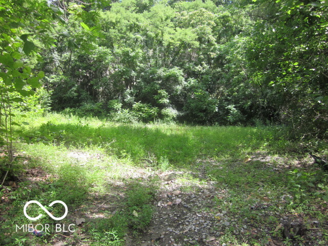 1000 Blue Bluff Road Martinsville, IN 46151 - Photo 7 of 8