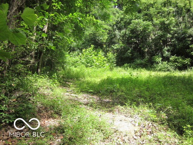 1000 Blue Bluff Road Martinsville, IN 46151 - Photo 8 of 8