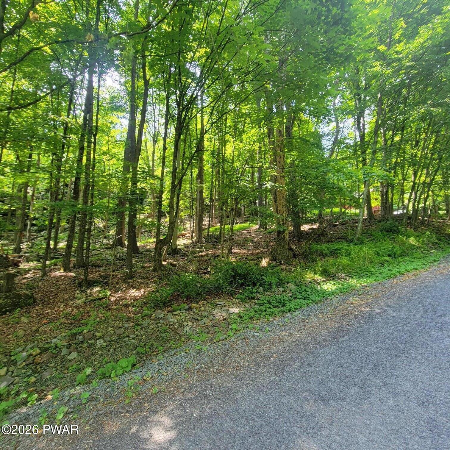 Lot 193 Cygnus Road Lake Ariel, PA 18436 - Photo 7 of 25