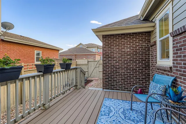 a view of a flower in a garden