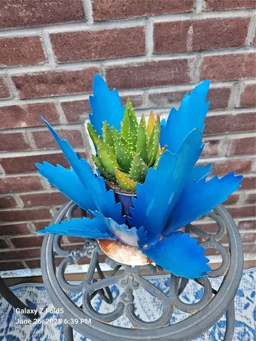 a view of a house with backyard and porch