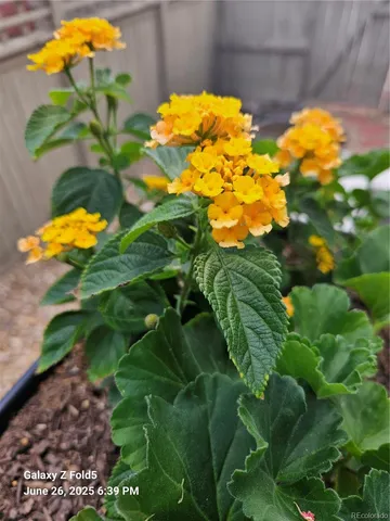 a front view of a house with a garage