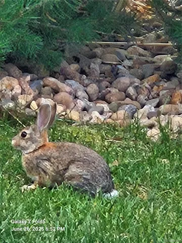 $497,500 | 14641 East Poundstone Drive, Aurora, CO 80015