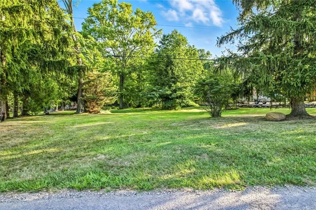 a view of green field with trees in the background