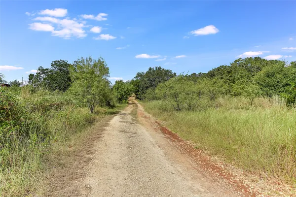 a view of a bunch of trees and bushes