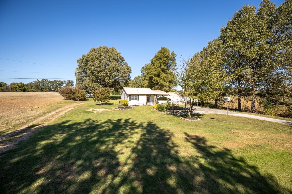 5750 Brighton-Clopton Road Brighton, TN 38011 - Photo 4 of 26 a view of swimming pool of water with lawn chairs and large trees