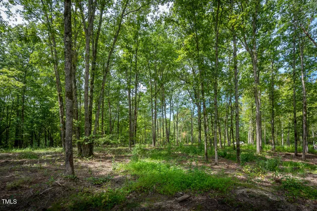 $479,900 | 30 Peach Blossom Court, Louisburg, NC 27549