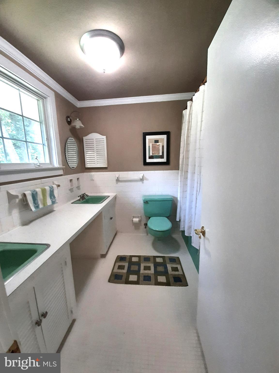 6814 Redberry Road Clarksville, MD 21029 - Photo 18 of 35 Primary Bathroom