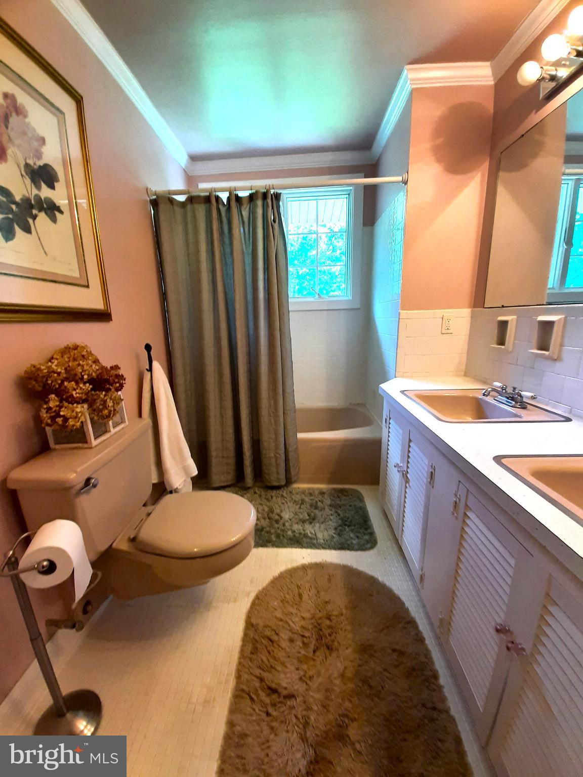 6814 Redberry Road Clarksville, MD 21029 - Photo 24 of 35 Main House Hall Bathroom