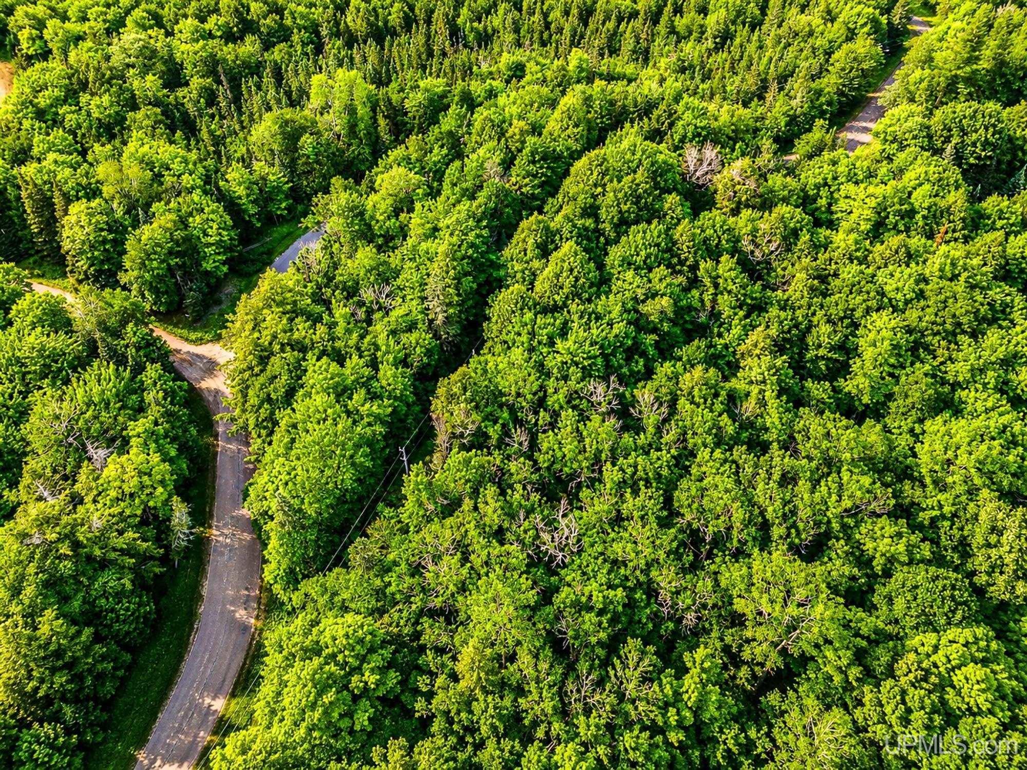 Lot 4 State Line Lake Road East Marenisco, MI 49947 - Photo 4 of 16