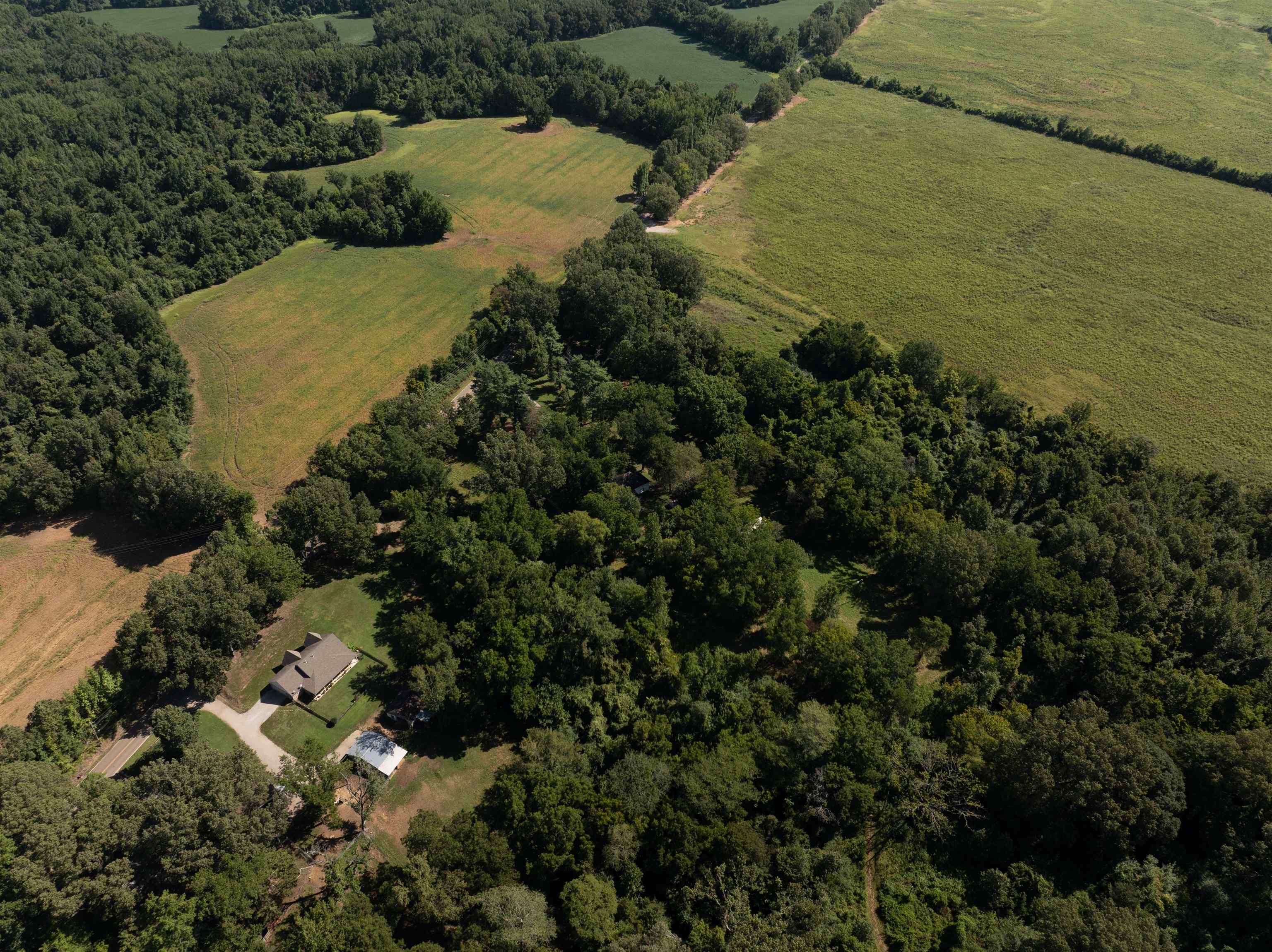 4595 Pleasant Ridge Road Millington, TN 38053 - Photo 18 of 20 Gallery Image 18