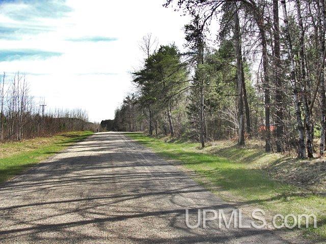 T-wi Wi 54156 Road Pembine, WI 54156 - Photo 3 of 3
