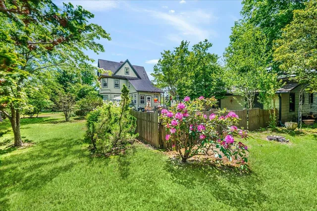 a small garden covered with tall trees