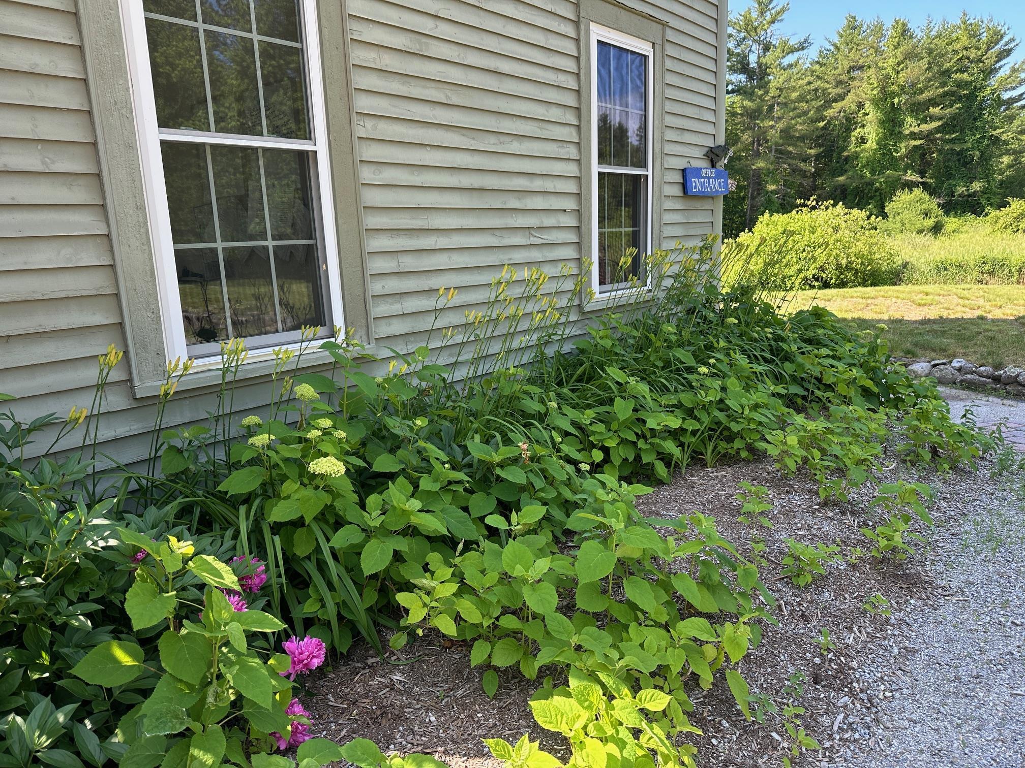 298 2nd New Hampshire Turnpike Hillsborough, NH 03244 - Photo 4 of 23