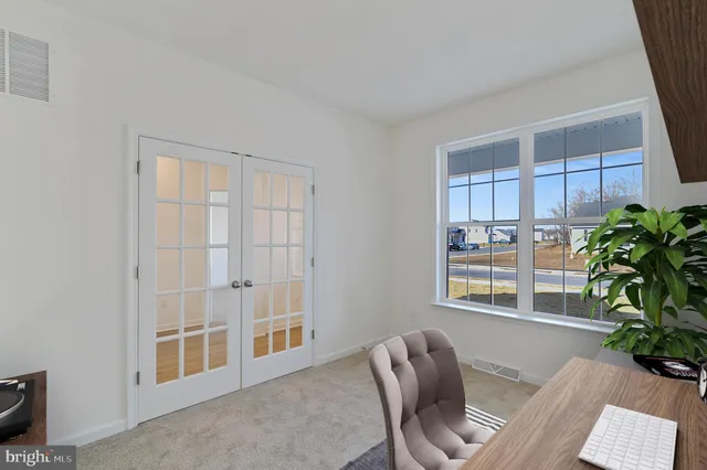 a living room with furniture windows and a potted plant