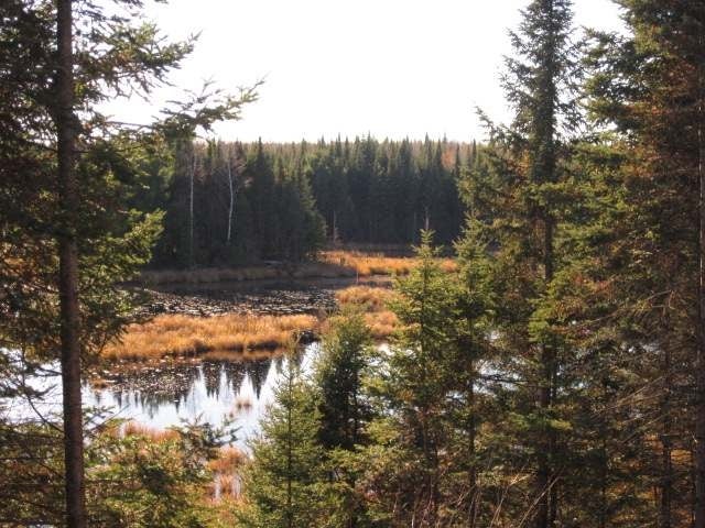 12957 Manhardt Road Minocqua, WI 54548 - Photo 10 of 20 Gallery Image 10