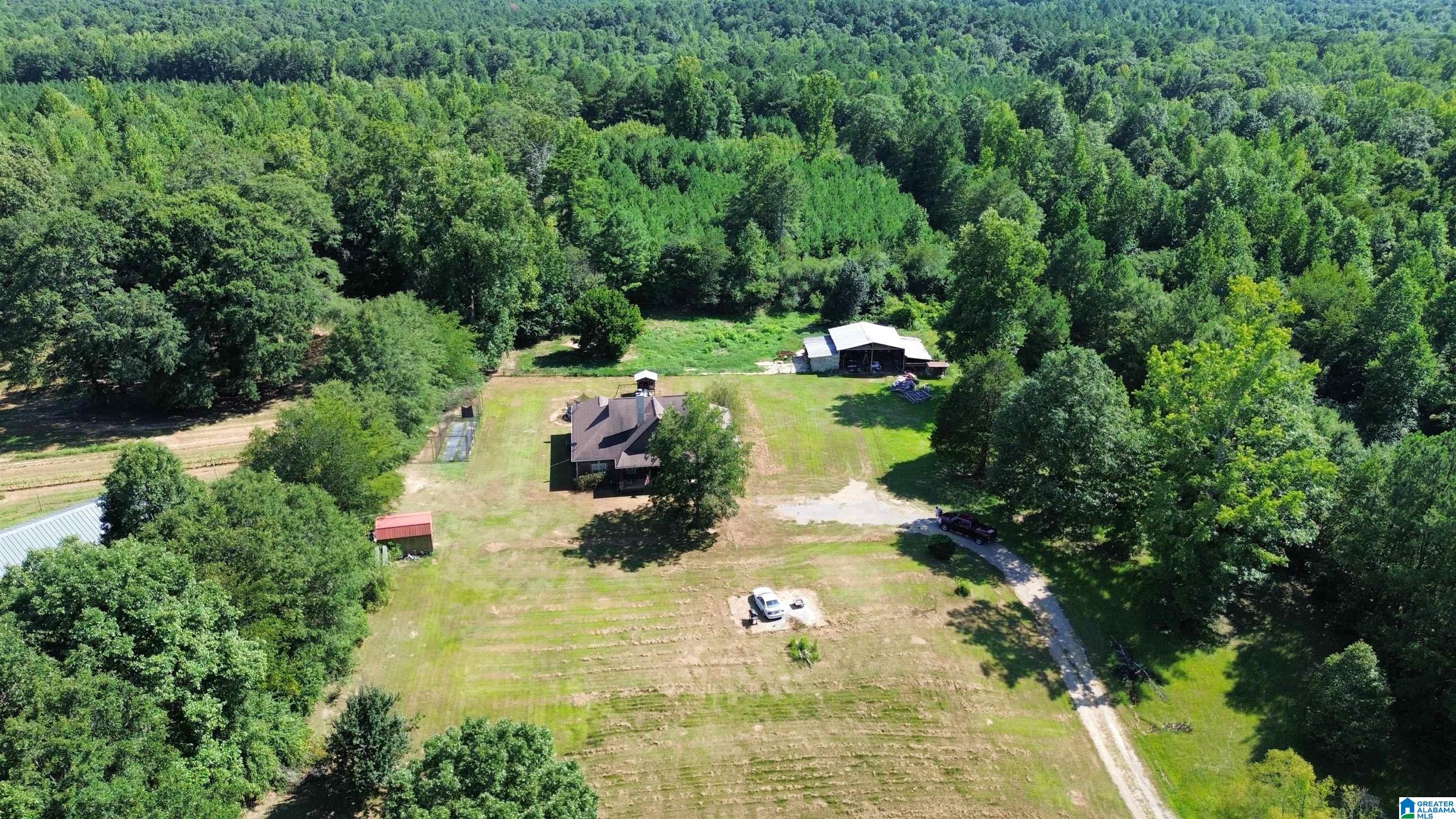 20585 Pleasant Grove Road Vance, AL 35490 - Photo 54 of 59
