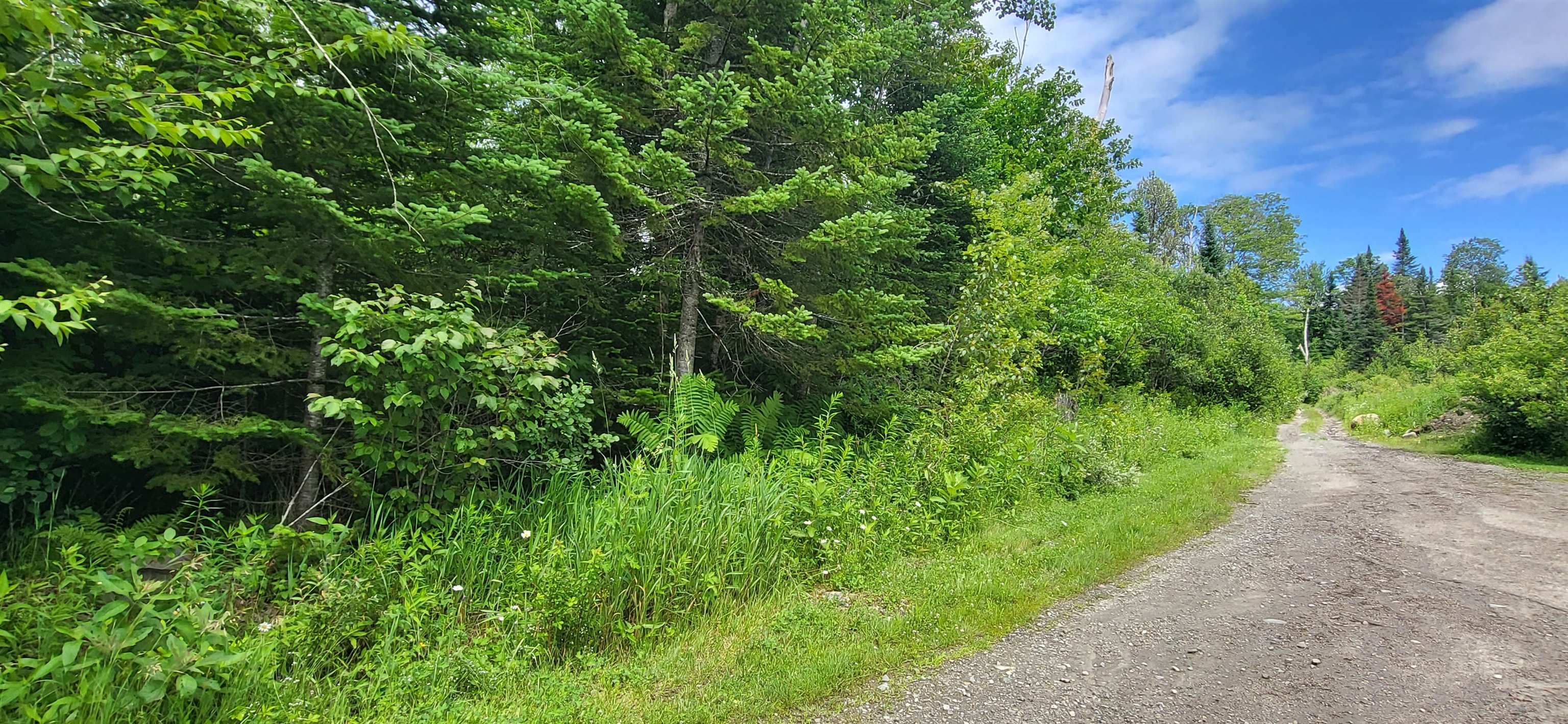 0 Thomas West Road Lunenburg, VT 05906 - Photo 11 of 17