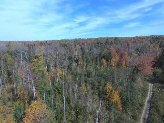 $165,000 | 0 Thomas West Road, Lunenburg, VT 05906