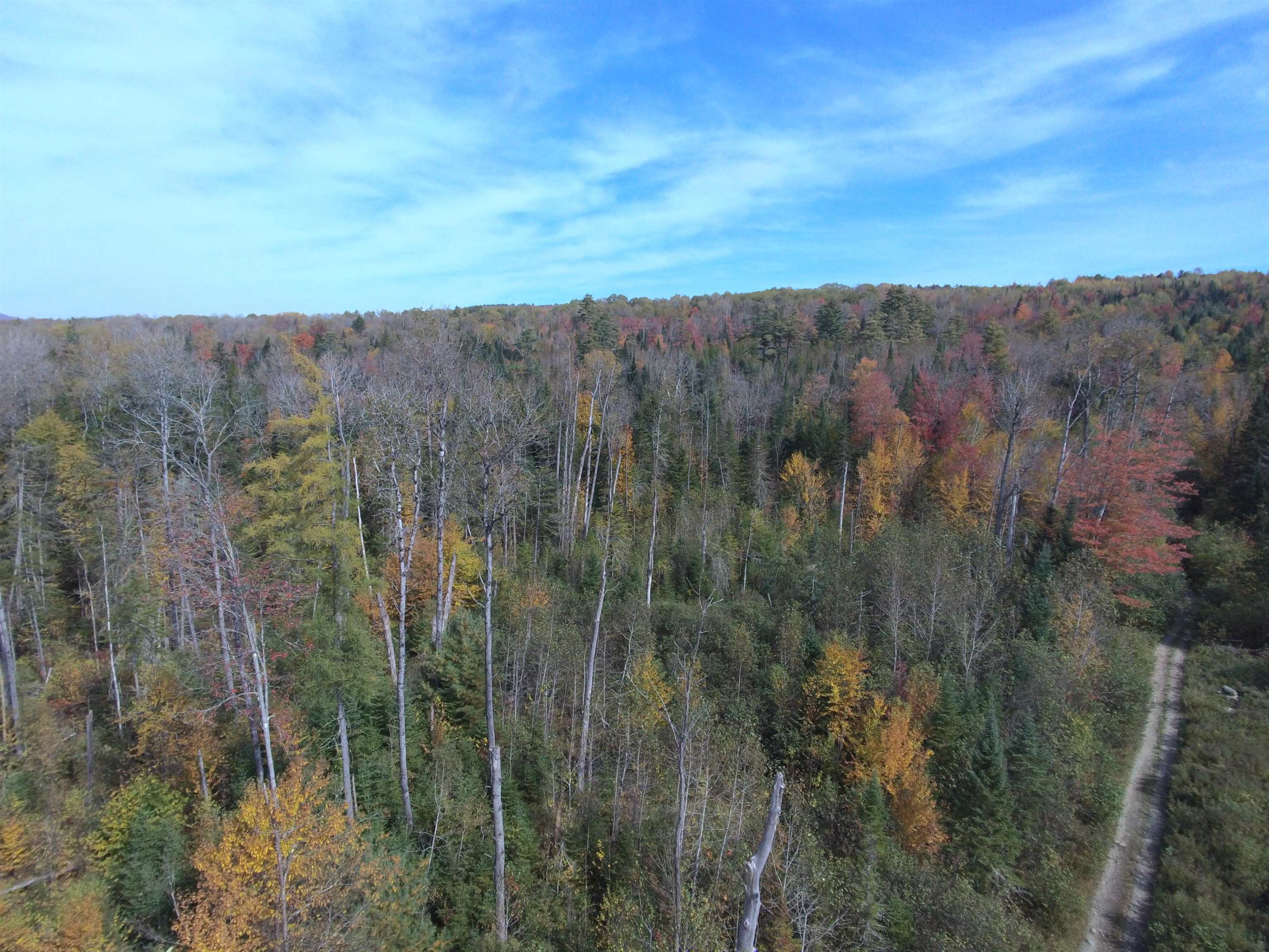 0 Thomas West Road Lunenburg, VT 05906 - Photo 3 of 17