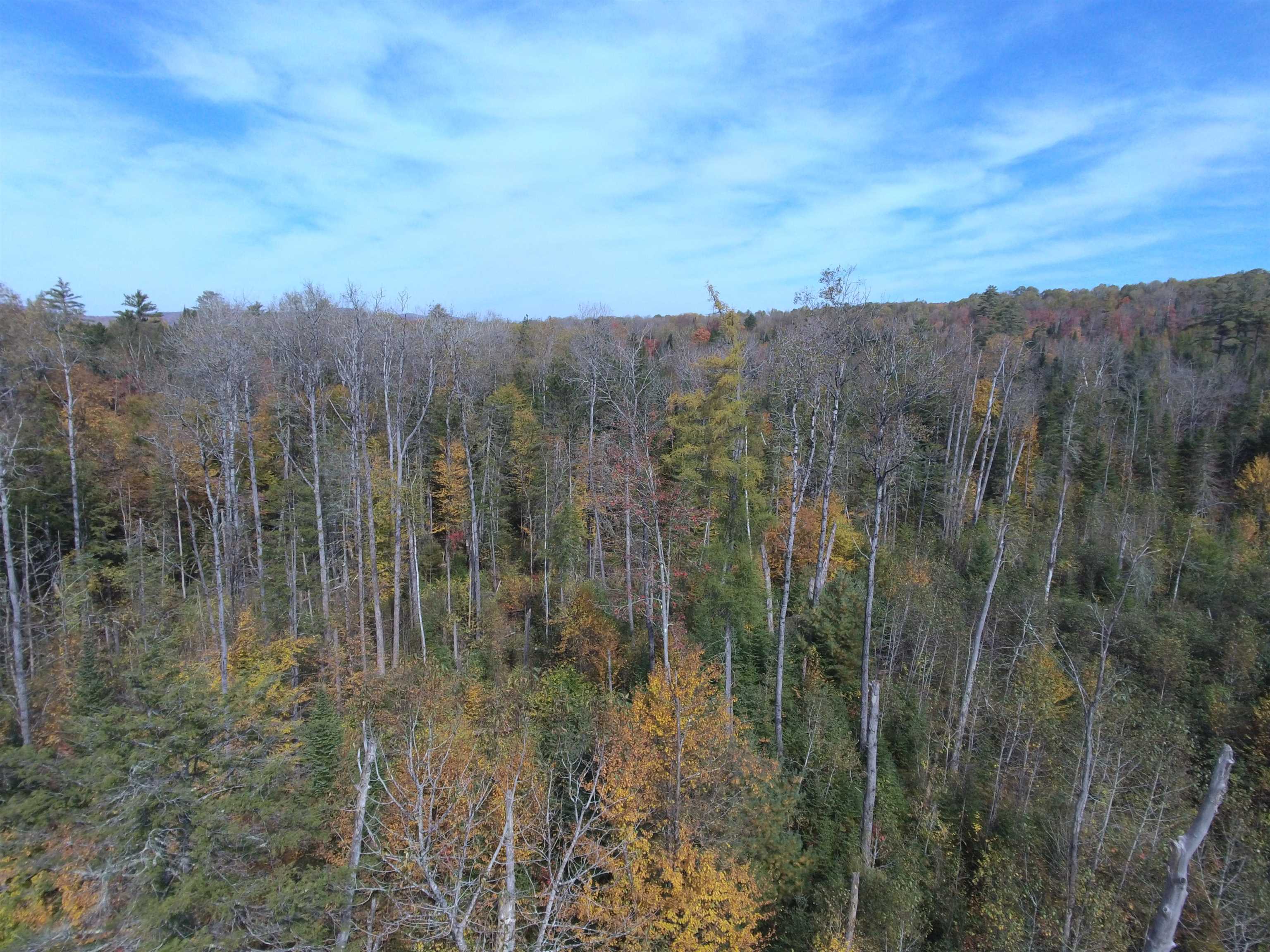 0 Thomas West Road Lunenburg, VT 05906 - Photo 4 of 17