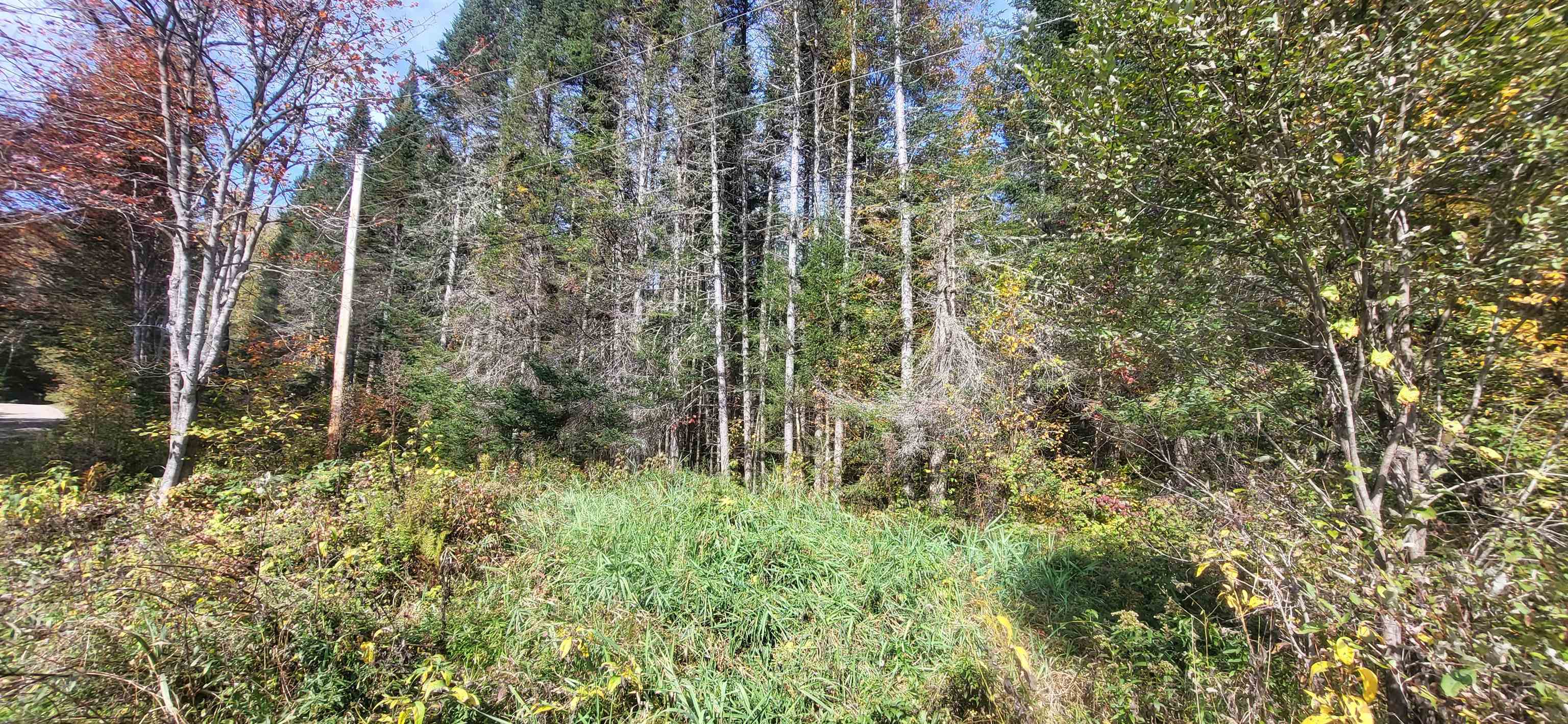 0 Thomas West Road Lunenburg, VT 05906 - Photo 5 of 17