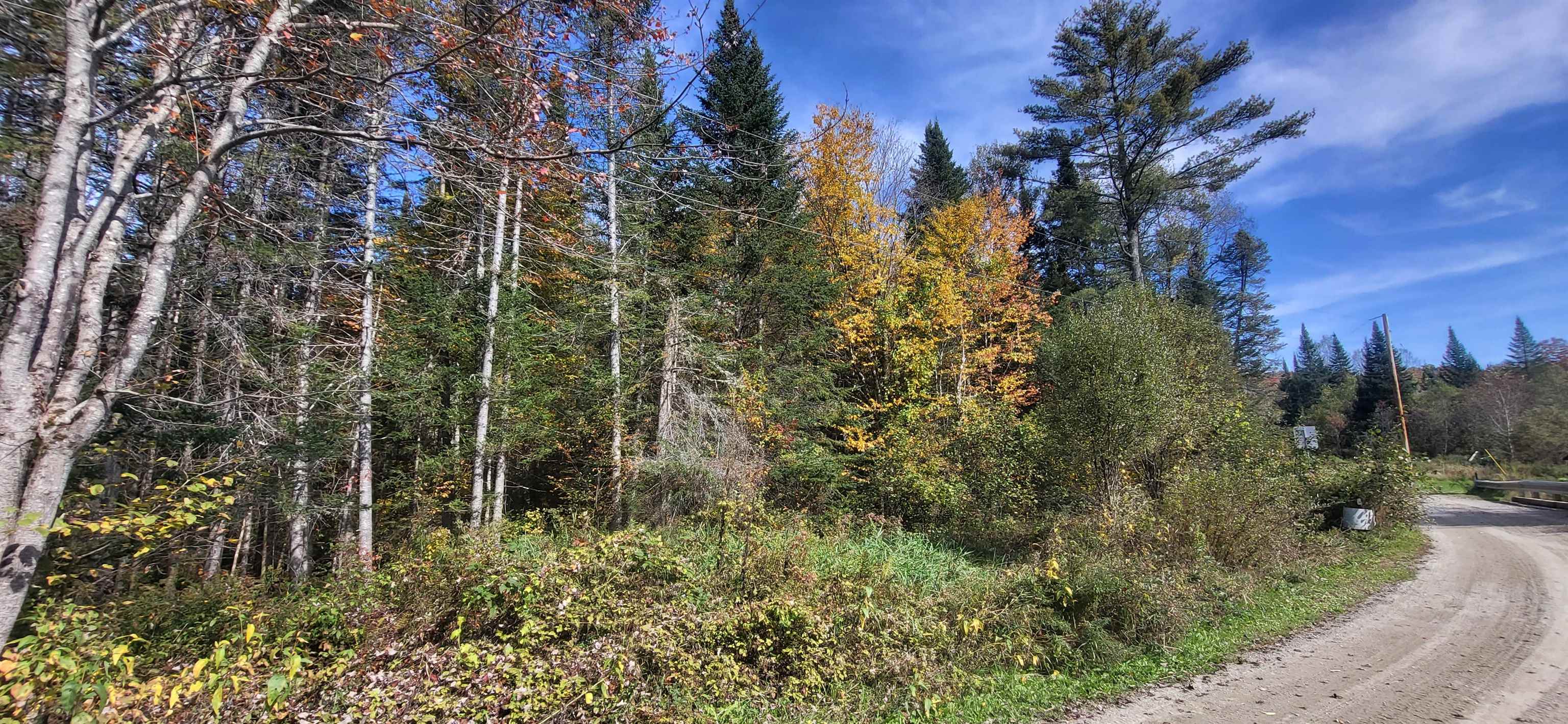 0 Thomas West Road Lunenburg, VT 05906 - Photo 6 of 17