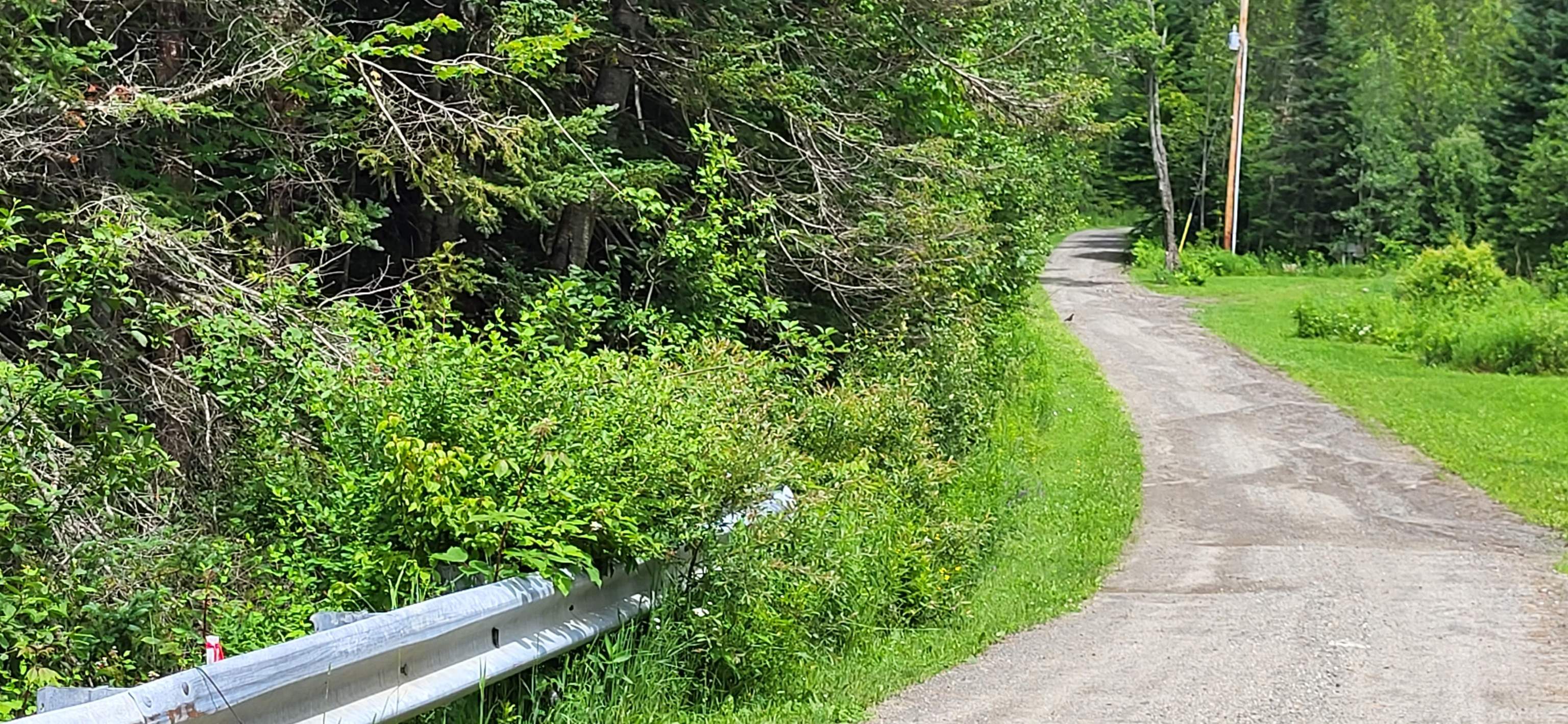 0 Thomas West Road Lunenburg, VT 05906 - Photo 8 of 17