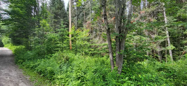 $165,000 | 0 Thomas West Road, Lunenburg, VT 05906