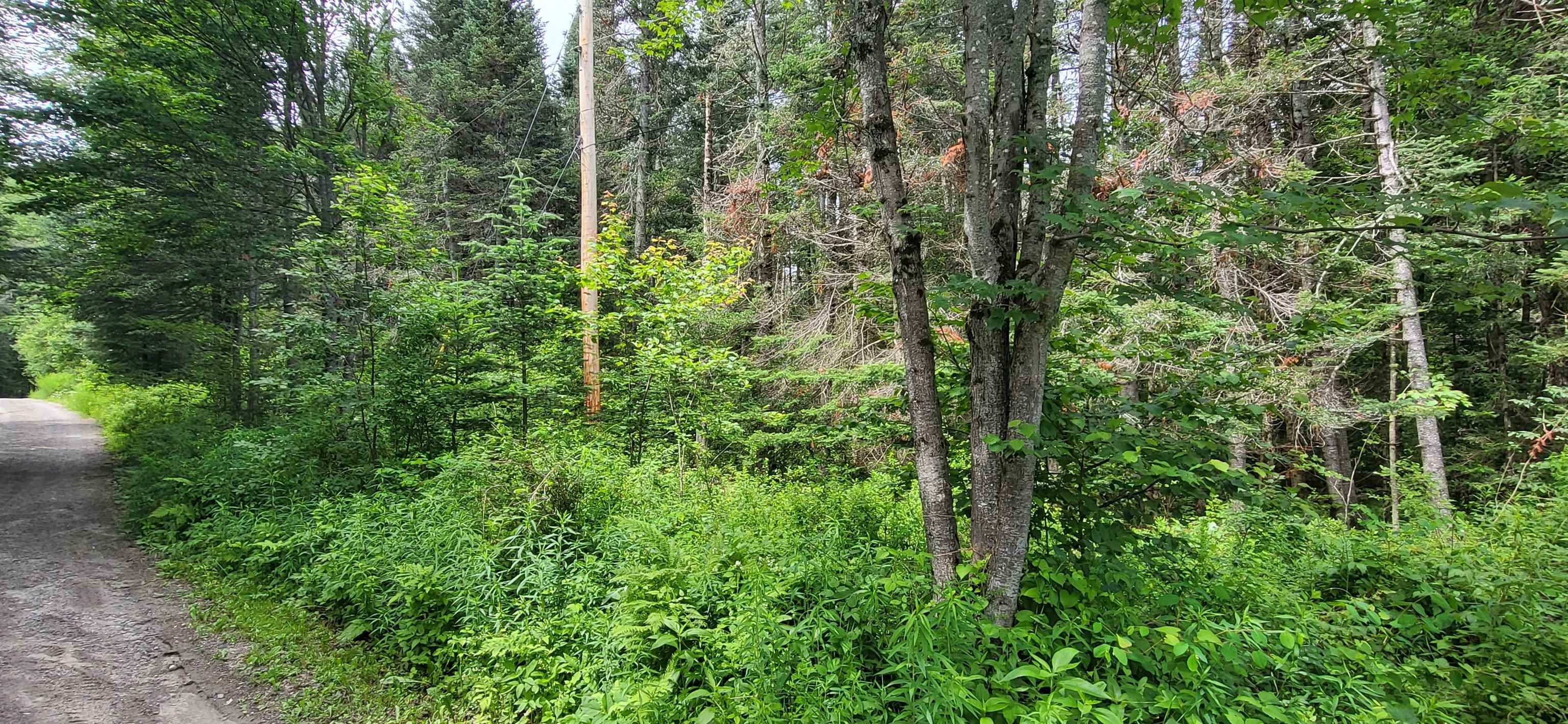 0 Thomas West Road Lunenburg, VT 05906 - Photo 10 of 17